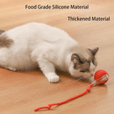 RolliePet smart chase pet toy ball